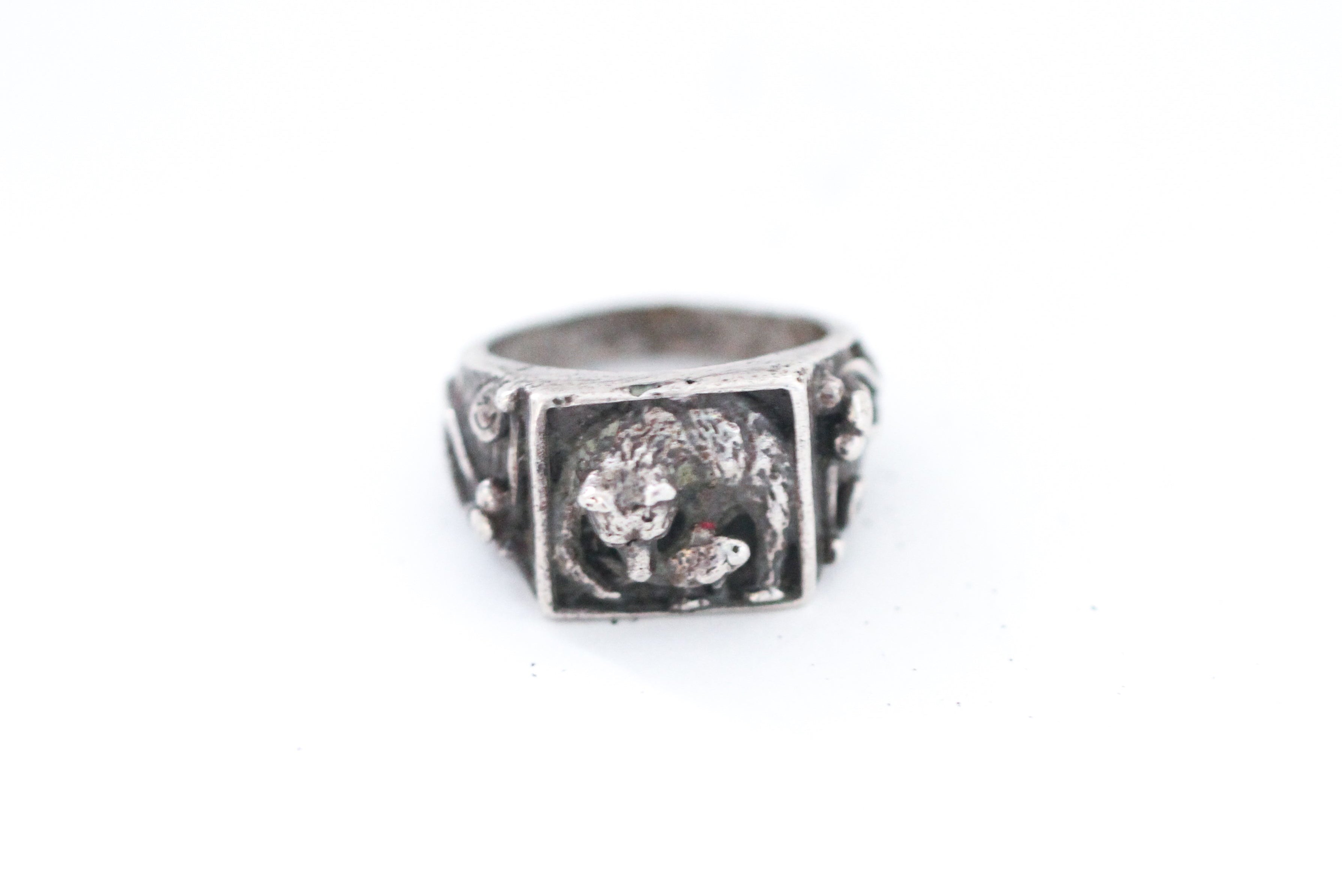 bear eating fish svaneti - r080